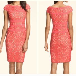Adrianna Papell lace sheath dress sz 6